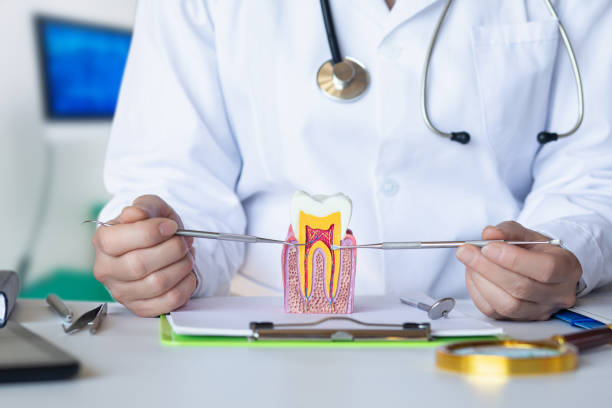 Best Urgent Tooth Repair  in Cockeysville, MD